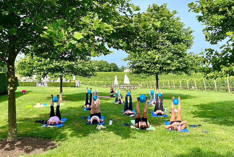 A group of people practice yoga outdoors on a grassy field, holding exercise balls between their feet and legs raised towards the sky. Trees and a vineyard are in the background.