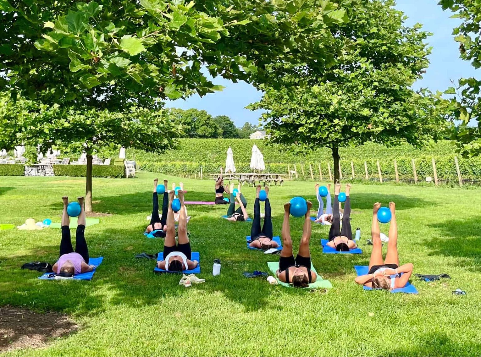 A group of people practice yoga outdoors on a grassy field, holding exercise balls between their feet and legs raised towards the sky. Trees and a vineyard are in the background.