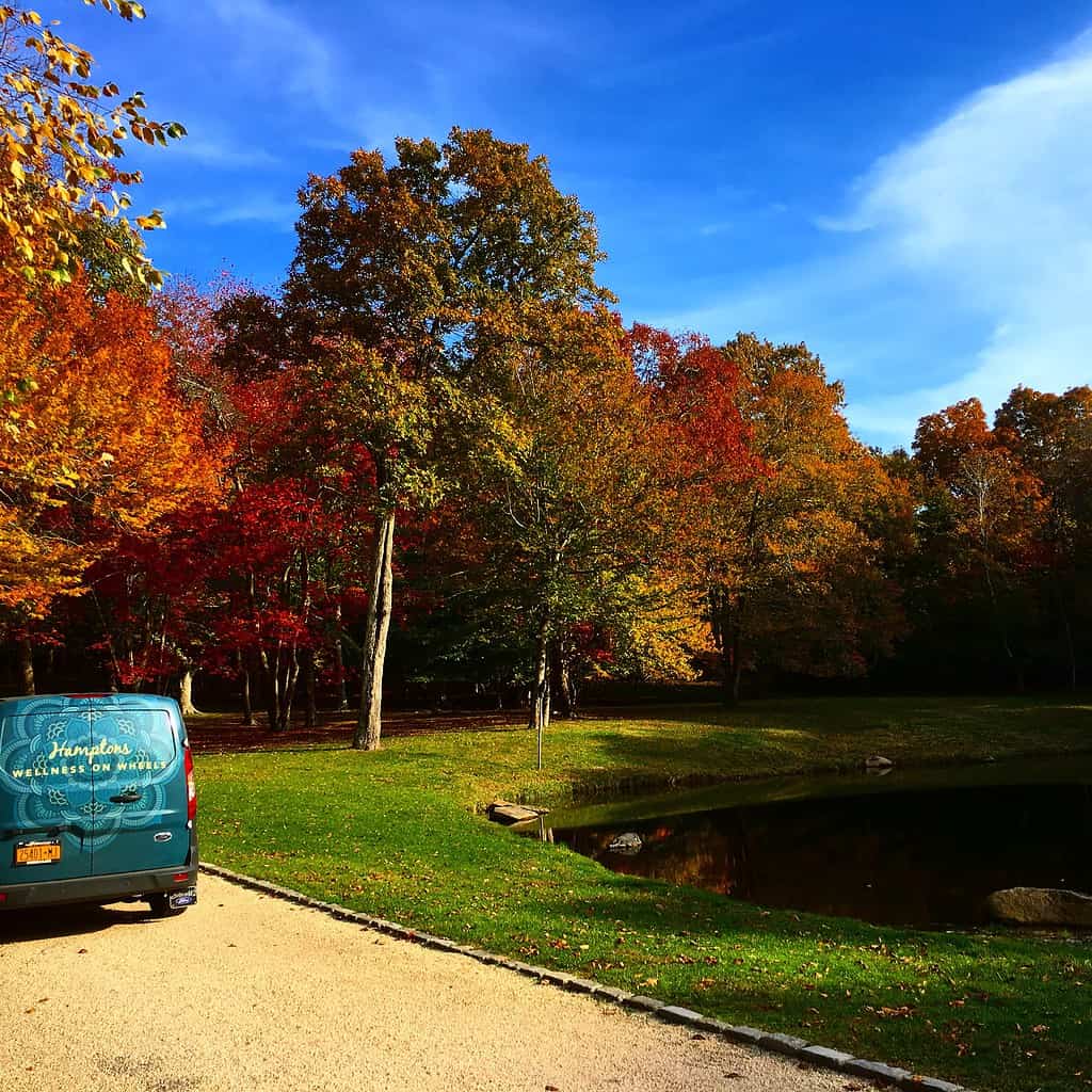 A blue van is parked on a gravel path beside a small pond, surrounded by trees with autumn foliage under a bright blue sky, creating a peaceful setting where one might feel a sense of calm and immunity from daily stresses.